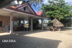 BEACH HOUSE & LOT FOR SALE IN ARGAO, CEBU