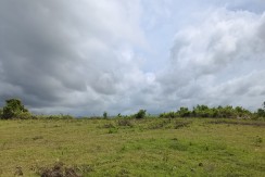 Commercial Lot for Sale in Dumanjug, Cebu