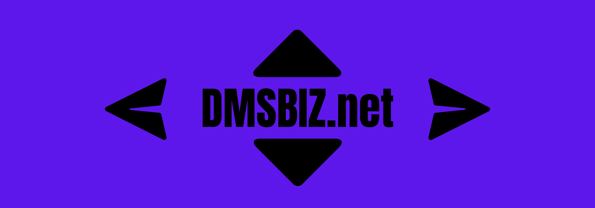 Dmsbiz Blue