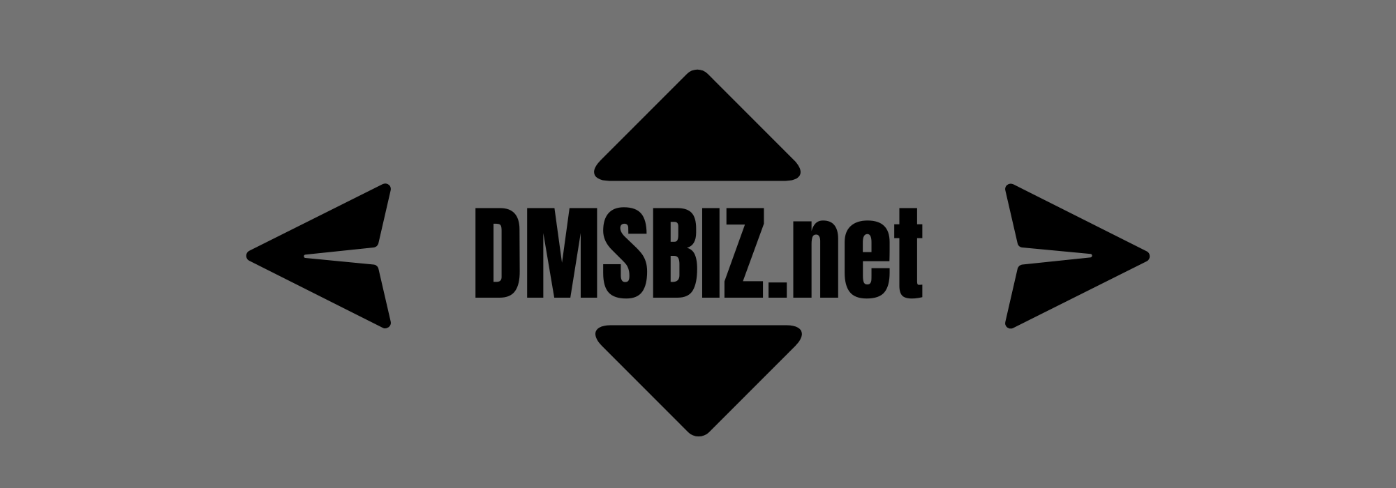 Dmsbiz gray